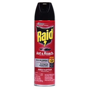 RAID Ant & Roach AERO Outdoor Fresh Twin Pack – 17.5oz/12pk Case/12