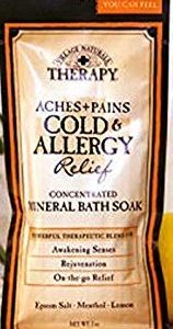 Village Naturals Therapy Aches & Pains Cold & Allergy Relief Mineral Soak Packet – 2oz/12pk Case/12